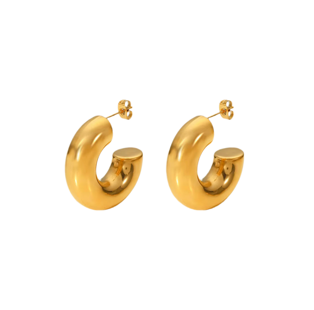 Celìne Thick hoops