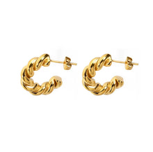 Load image into Gallery viewer, Leìon Mini Earrings
